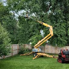 Best Hedge Trimming  in West Dundee, IL