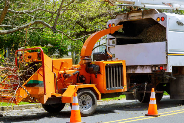Best Lot and Land Clearing  in West Dundee, IL