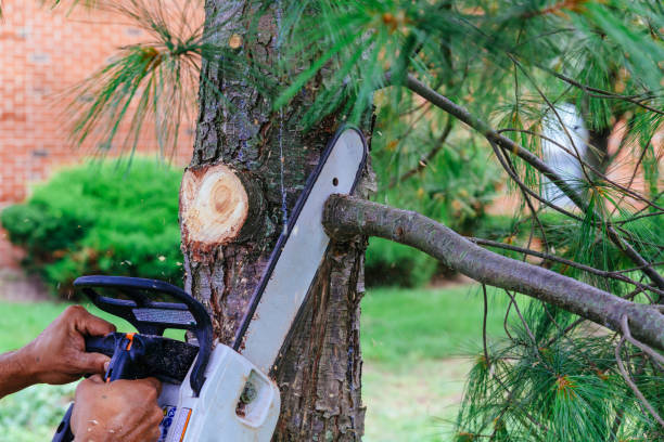 Best Utility Line Clearance  in West Dundee, IL